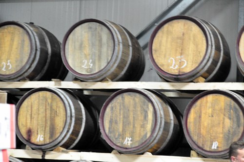 Rows of wine barrels in a cellar free photo