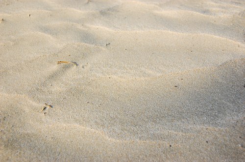 Sand of desert free photo