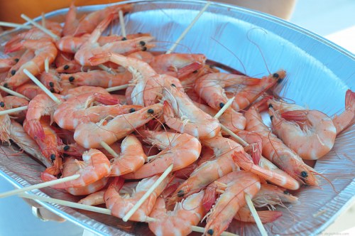 Shrimp seafood free photo