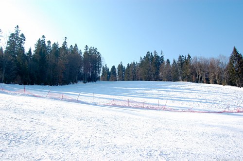 Ski slope in mountain resort free photo