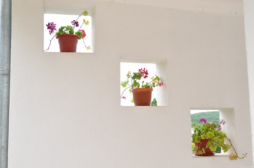 Three pots decorating a wall free photo