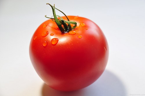 Tomato with dew drops on white free photo