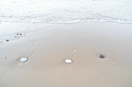 Washed out stones on beach free photo